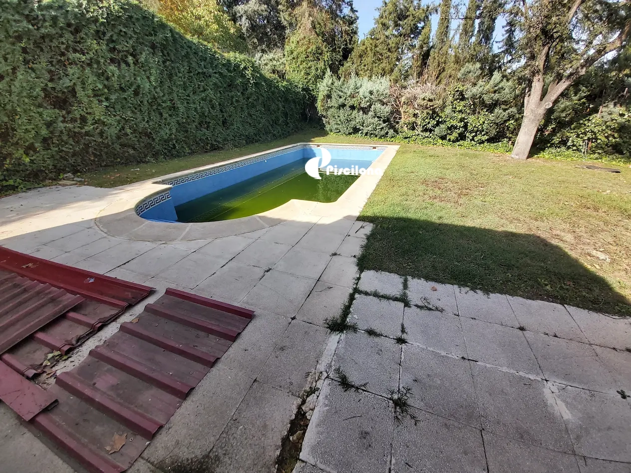 E -40-Manuel-Villanueva-Antes